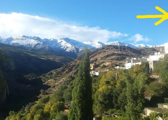 La flecha