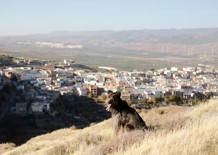 La flecha