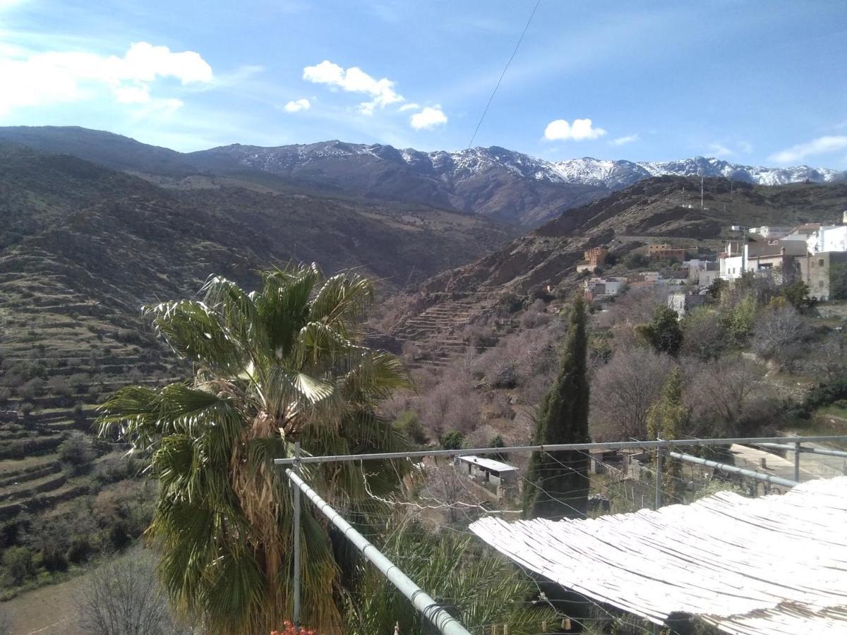La Flecha Séjour chez l'habitant Abrucena