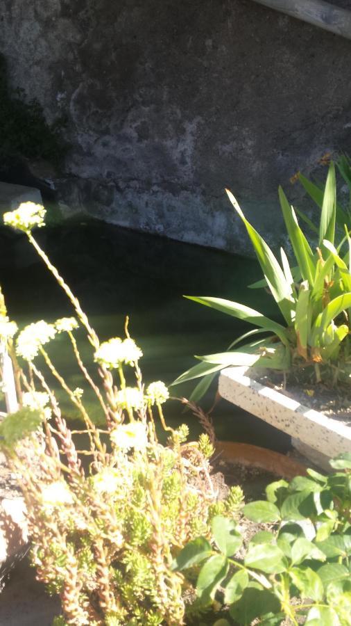 Séjour chez l'habitant La Flecha Abrucena